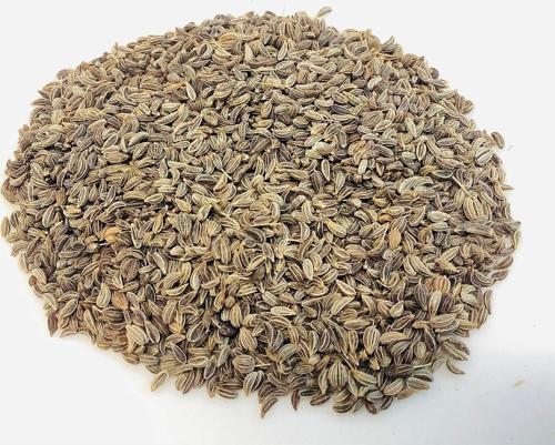 Maydanoz Tohumu D'Giant İtaliana Çeşidi, 1 Gram, 700 Adet