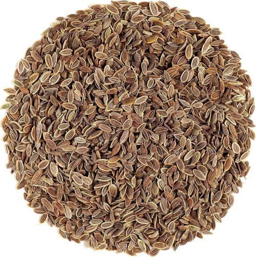 Yerli Dereotu Tohumu, Gönen Çeşidi, 1 Gram, 600 Adet