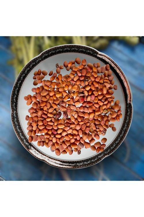 Yerli İri Kırmızı Turp Mikro Yeşillik Tohumu, 15 Gram