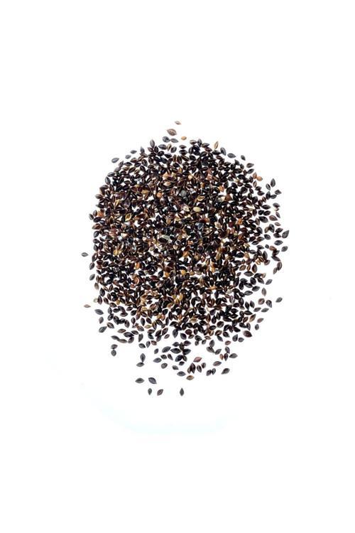 Yerli Kuzukulağı Tohumu, 1 Gram