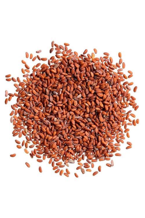 Yerli Tere Tohumu, Geniş Yapraklı, 1 Gram, 600 Adet