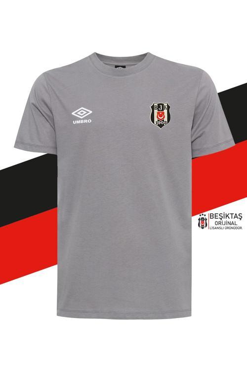 Orijinal Lisanslı Sıfır Yaka Gri T-Shirt