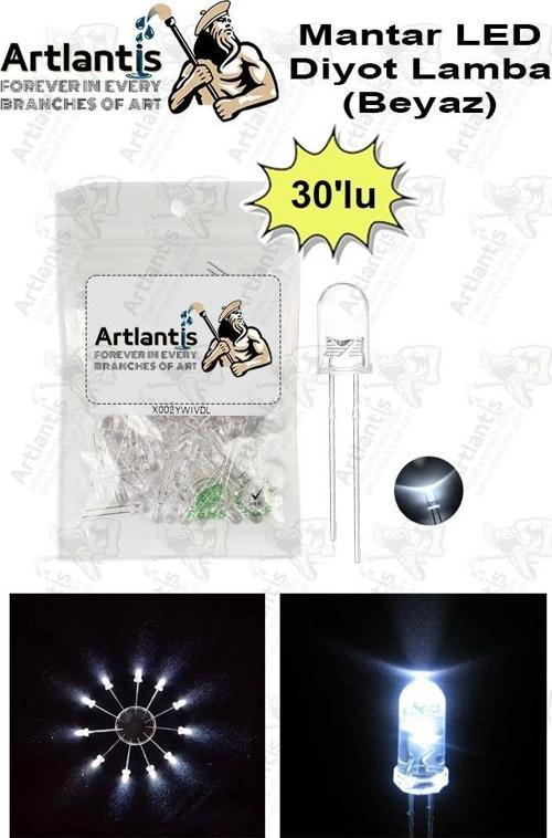 Beyaz Mantar Led Diyot Lamba 30 lu 1 Paket Beyaz 4.8 mm Mini Mantar Led Lamba Deney Bilim Proje Arduino Işığı