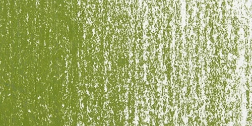 Soft Pastel Boya Olive Green 620.5