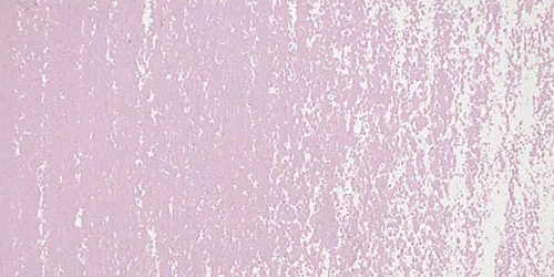Soft Pastel Boya Purple 2 O 050