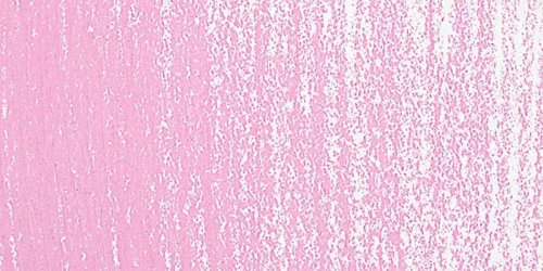 Soft Pastel Boya Permanent Rose 397.9