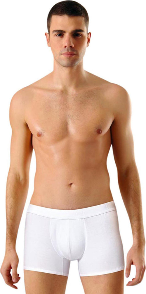 Erkek Boxer Modal - Anıt 1250