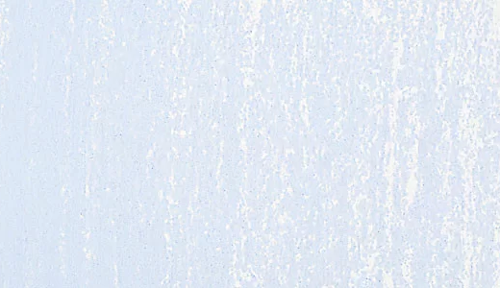 Soft Pastel Boya Ultramarine Light 505.9