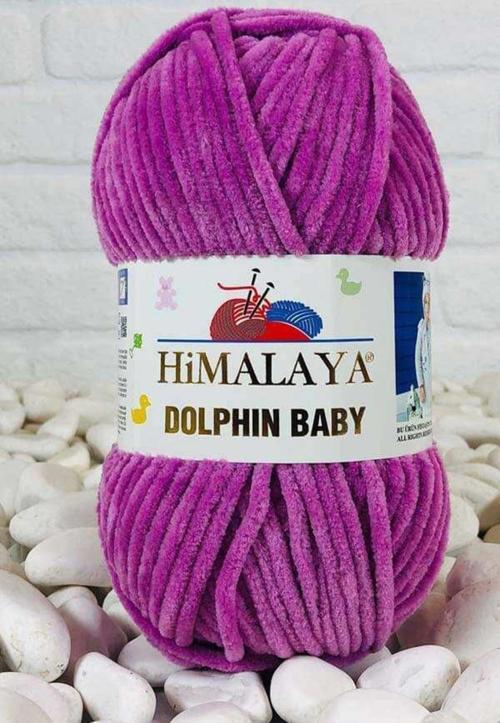 Dolphin Baby