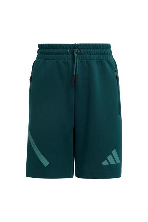 Yeşil Çocuk   Şort J ZNE SHORTS JW2413