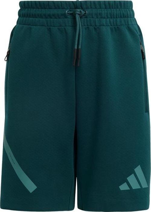 Yeşil Çocuk   Şort J ZNE SHORTS JW2413