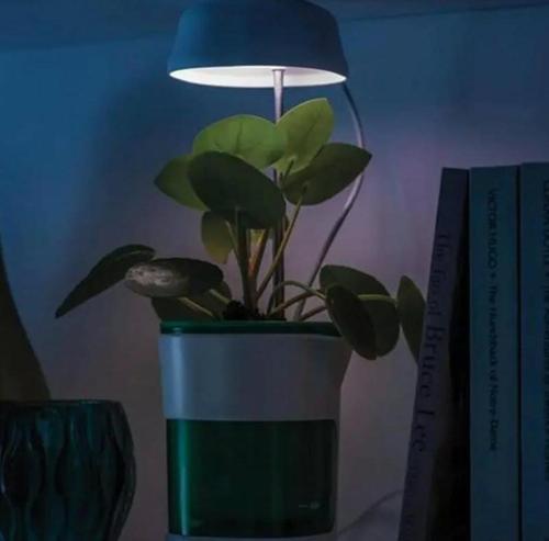 Hızlı Bitki Yetiştirme Saksısı