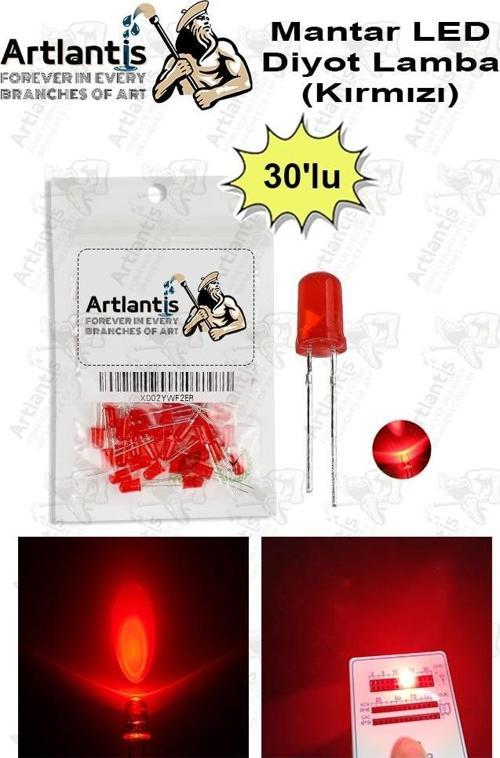 Kırmızı Mantar Led Diyot Lamba 30 lu 1 Paket Kırmızı 4.8 mm Mini Mantar Led Lamba Deney Bilim Proje Arduino Işığı