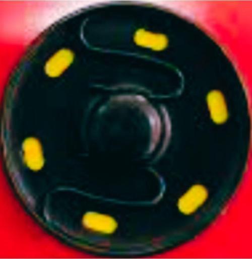 Çıt Çıt 30 mm 6'lı Siyah