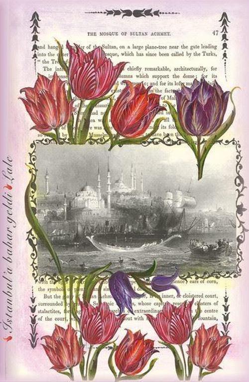 İstanbul'a Bahar Geldi Lale 2 Büyük Defter