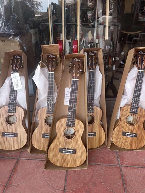Concert Ukulele (kılıf ve pena hediye)