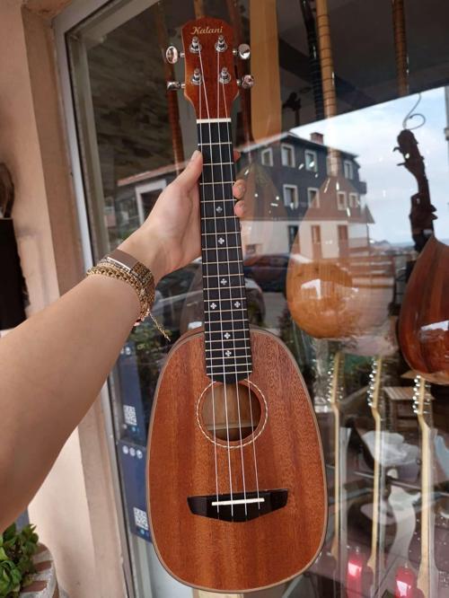 Concert Ukulele (kılıf ve pena hediye)