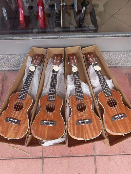 Concert Ukulele (kılıf ve pena hediye)