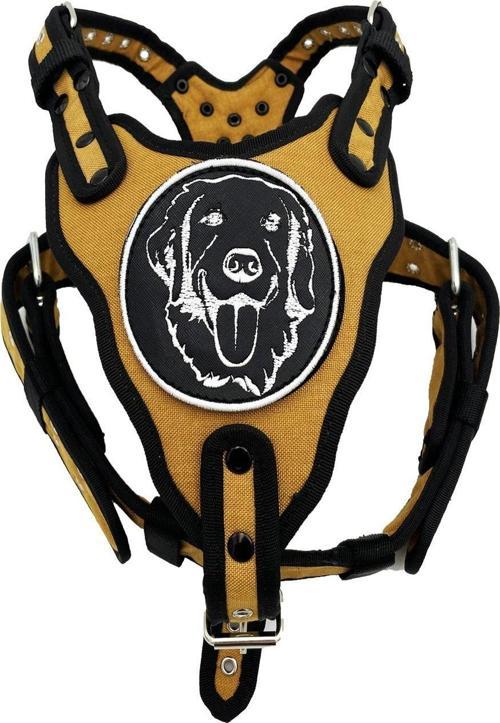Hardal Golden Retriever Köpek Göğüs Tasması Göğüslük Tasma
