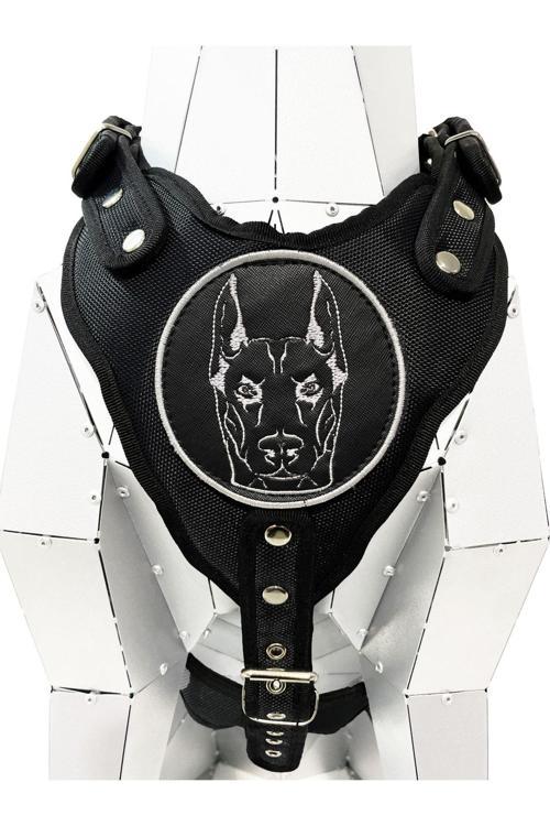 Siyah Doberman Köpek Göğüs Tasması Göğüslük Tasma