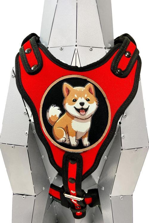 Kırmızı Shiba Inu Köpek Göğüs Tasması Bel Tasması Premium