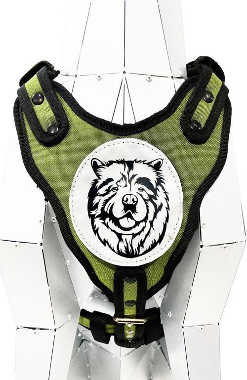 Haki Chow Chow Çin Aslanı Köpek Göğüs Tasması Bel Tasması