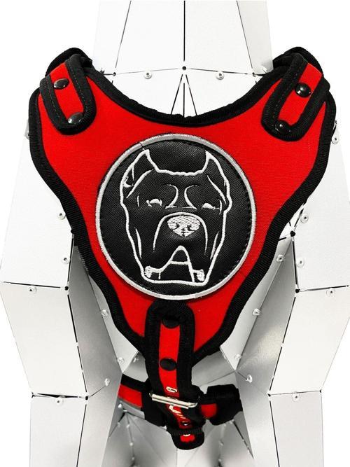 Kırmızı Cane Corso Köpek Göğüs Tasması Göğüslük Tasma