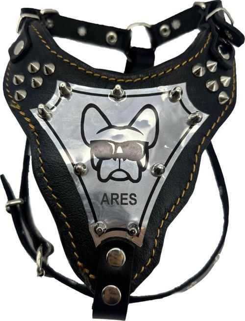 French Bulldog İsimli Deri Köpek Göğüs Tasması