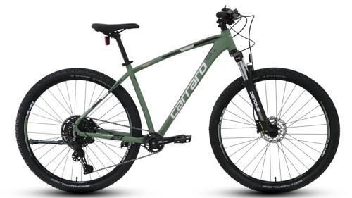 Daytona 910 HD Fren Cues 10 Vites 29 Jant Dağ Bisikleti Mat Bambu Yeşili Beyaz Siyah 48 Kadr