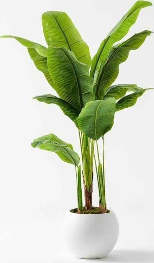 Yapay Ağaç Muz 160 Cm 13 Dal Plastik Küre Saksı