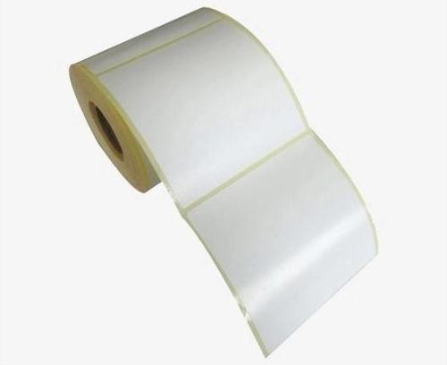 Pg Etiket 100mmx76mm (tek Kolonda 1li) , Toplam  570 Ad (vellum)