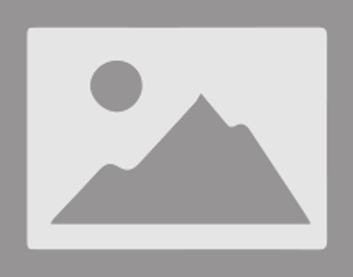 Sl-16 Pubg Derece Göstergeli Radyatörlü Aliminyum Manyetik Hızlı Soğutma Özellikli Te