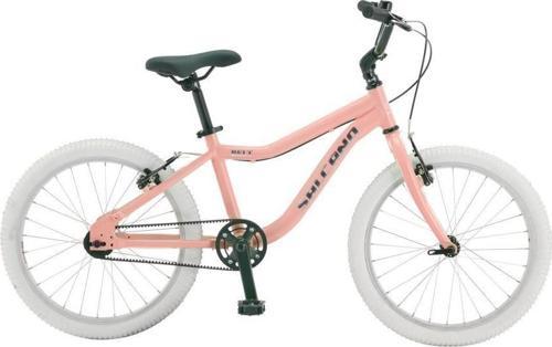 Belt 20 Jant Hafif Kız Çocuk Bisikleti Kayışlı Sistem (120-140 cm arası boy)