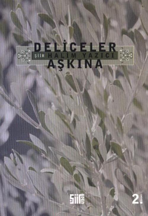 Deliceler Aşkına