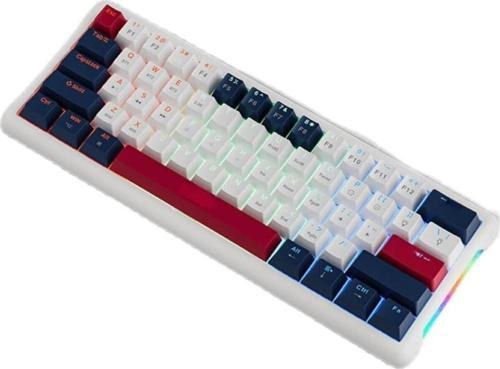 Leaven K610 Mini Kablolu Mekanik RGB Işıklı Klavye 61 Tuşlu Kırmızı Switch Q Klavye 10cm x 29cm