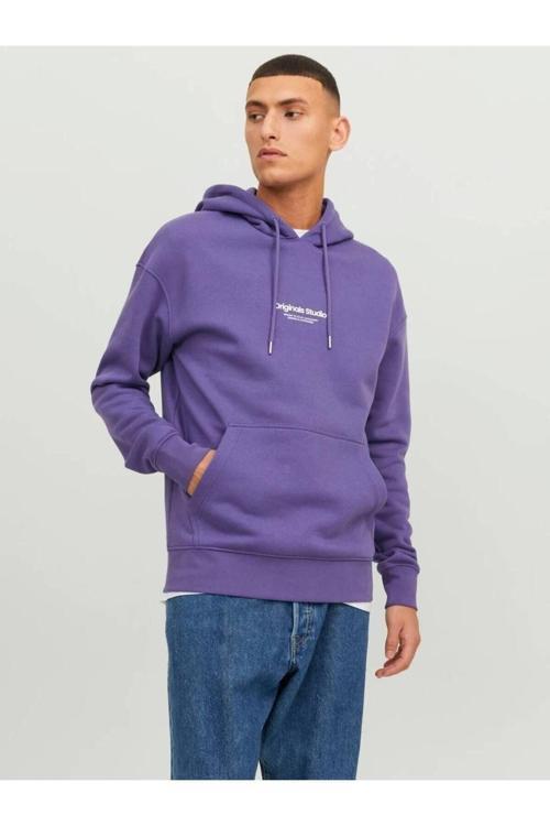 Jack Jones Vesterbro Sweat Hood Noos Erkek Mor Sweatshirt 12241687-19