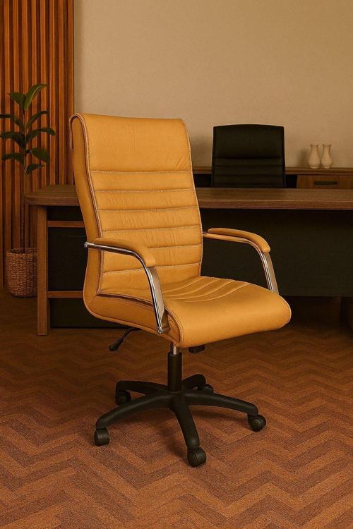 Staryo Camel Bilgisayar Koltuğu – Ergonomik Bel Destekli, Ayarlanabilir Yükseklikli