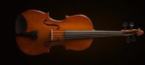 VA16041 VİOLA KUTULU 16 İNCH (40.64CM)