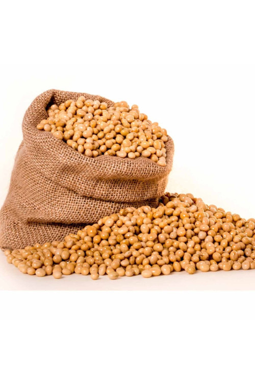 10 Gr Soya Fasülyesi
