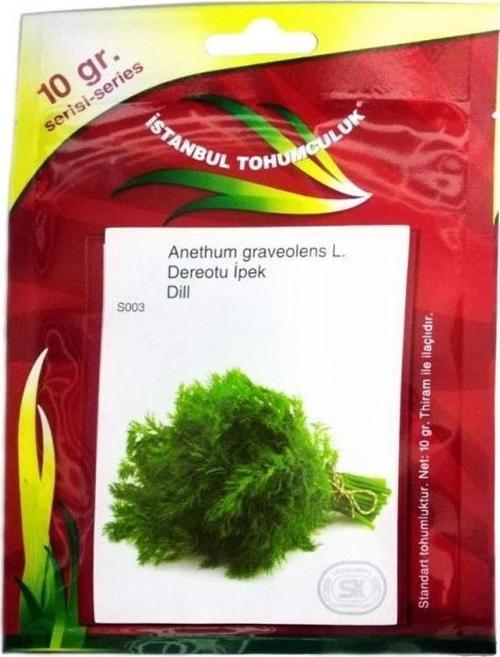 Dereotu Tohumu