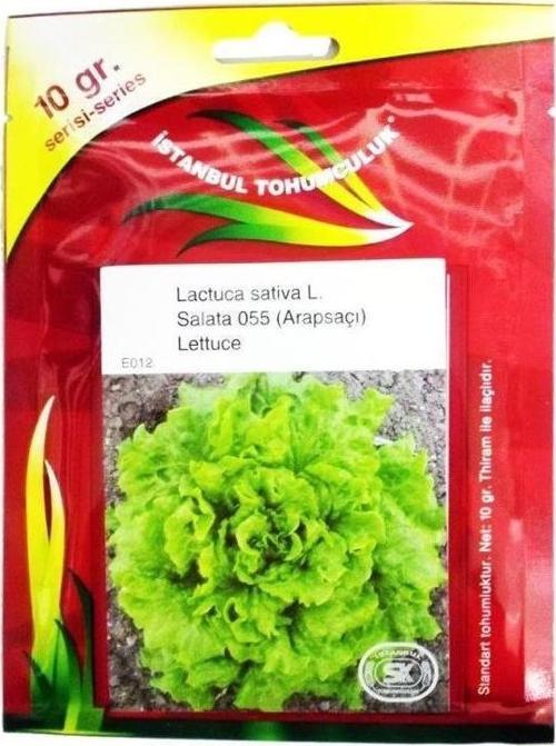 Arapsaçı Kıvırcık Marul Tohumu