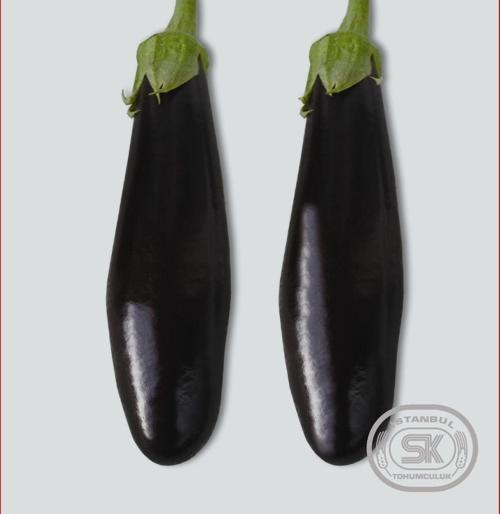 Patlıcan Tohumu Aydın Siyahı 10 gr