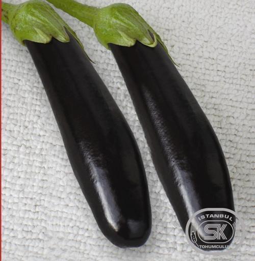 Patlıcan Tohumu Pala 49 10 gr