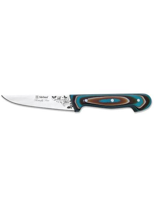 Kasap Bıçağı (1 No Kemik Sıyırma) 61011-V 13.5 cm