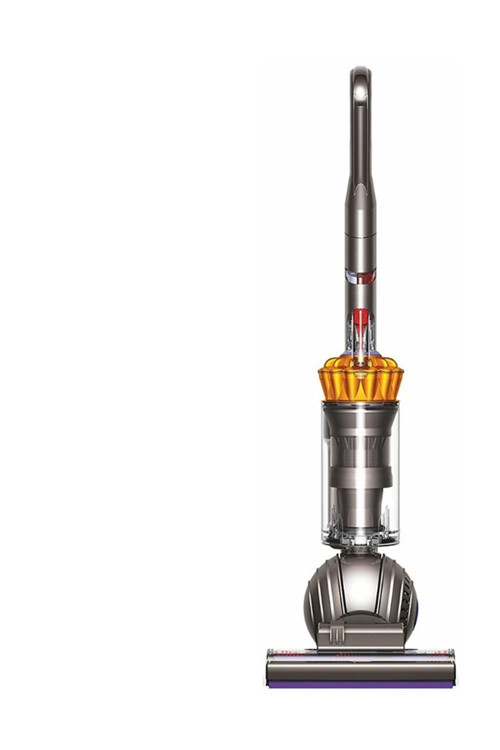 Dc42 Allergy Erp 700W Dik Elektrikli Süpürge