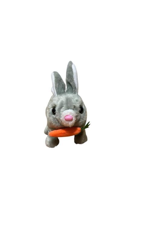 Pilli Zıplayan Kulakları Hareket Eden Gri Tavşan