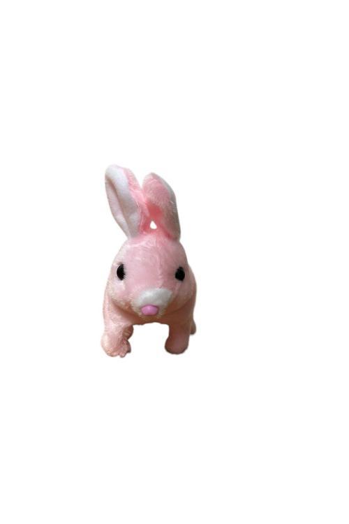 Pilli Zıplayan Ve Kulakları Hareket Eden Pembe Tavşan