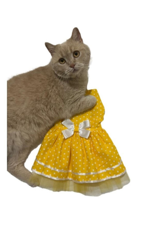 Sarı Puantiyeli Beyaz Papyonlu Kedi Köpek Kıyafeti Elbisesi Large/L/Beden 3