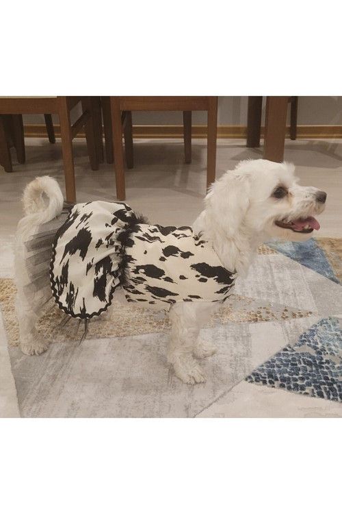 Siyah Beyaz Leopar Desenli Tüllü Kedi Köpek Kıyafeti Elbisesi Xlarge/Xl/Beden 4