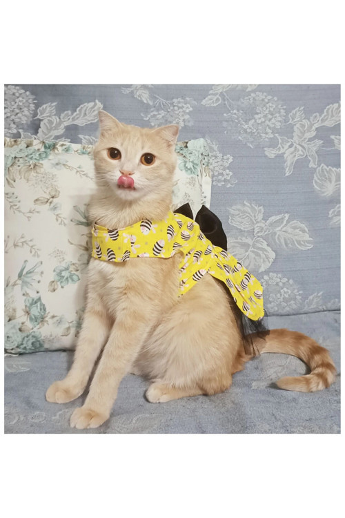 Arı Desenli Sarı Kedi Köpek Kıyafeti Elbisesi Medium/M/Beden 2